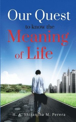 Our Quest to Know the Meaning of Life 1