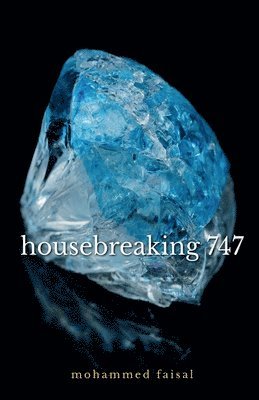 bokomslag housebreaking 747