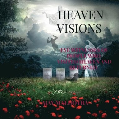 bokomslag Heaven Visions