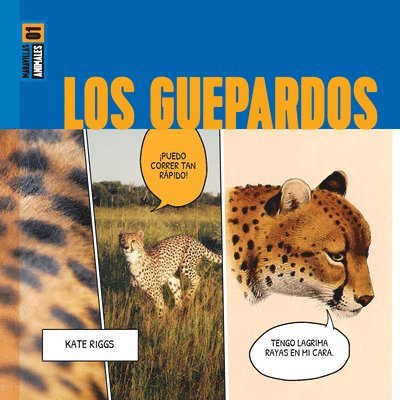 Los Guepardos 1