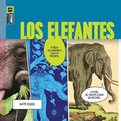 Los Elefantes 1