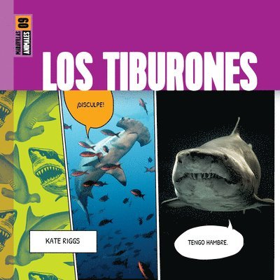 Los Tiburones 1