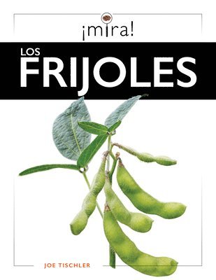 Los Frijoles 1