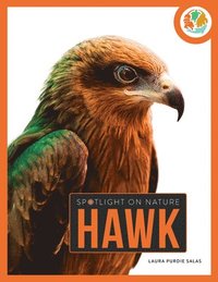 bokomslag Hawk