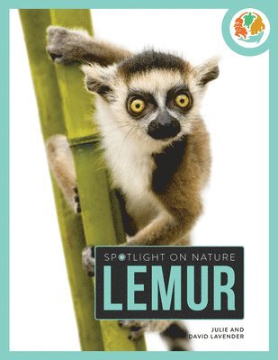 Lemur 1