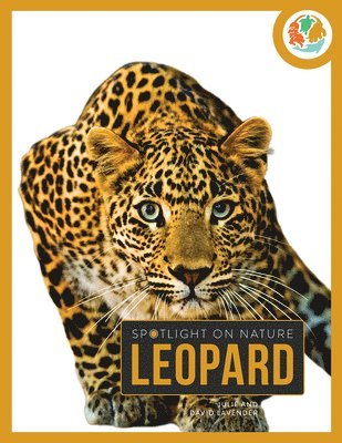 Leopard 1