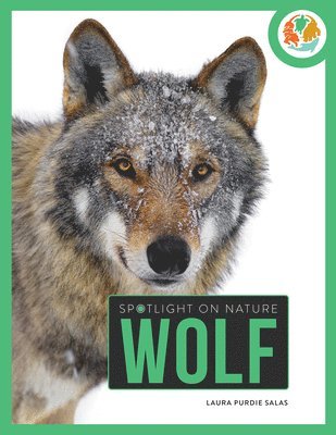 Laura Purdie Salas - Wolf, Inbunden