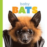 bokomslag Baby Bats