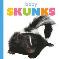 bokomslag Baby Skunks