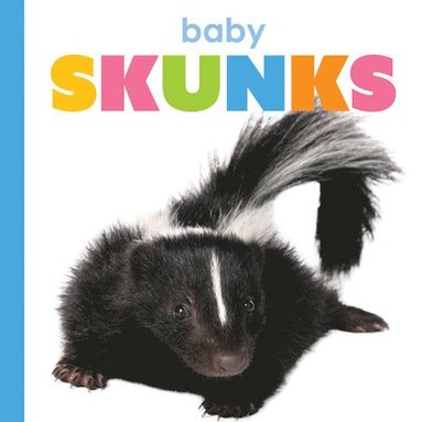 bokomslag Baby Skunks