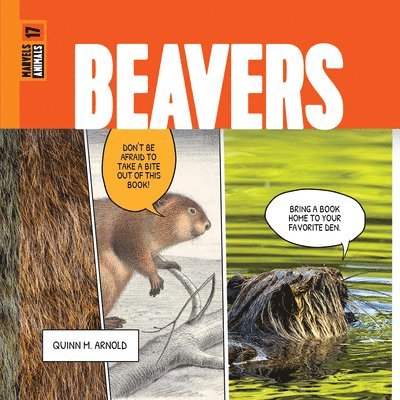 Beavers 1