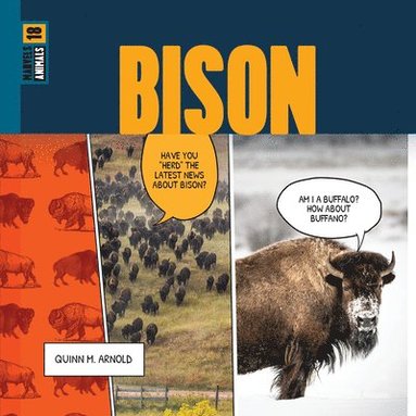bokomslag Bison