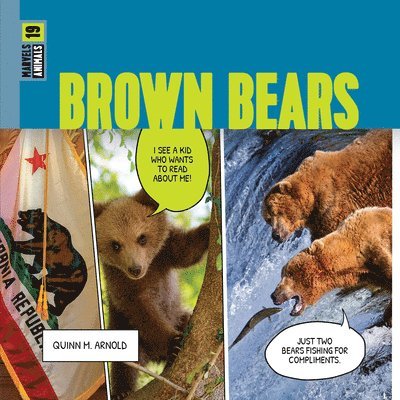 Brown Bears 1