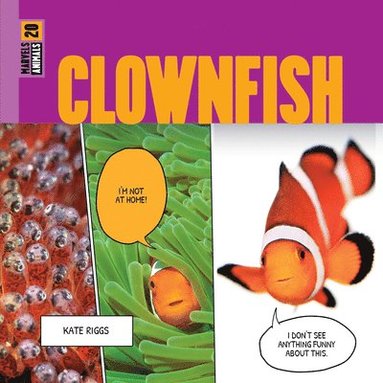 bokomslag Clownfish