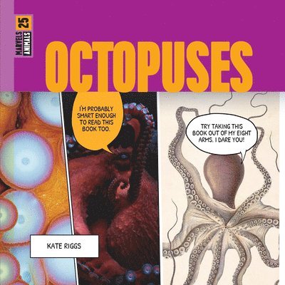 Octopuses 1