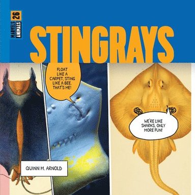 bokomslag Stingrays