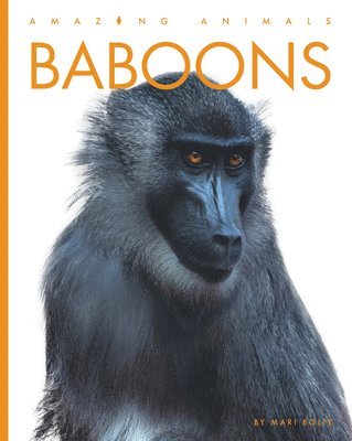 bokomslag Baboons