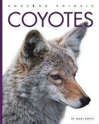 bokomslag Coyotes