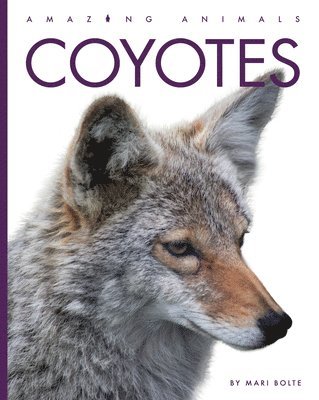 Coyotes 1