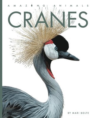 bokomslag Cranes