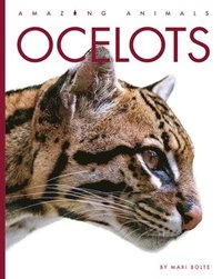 bokomslag Ocelots