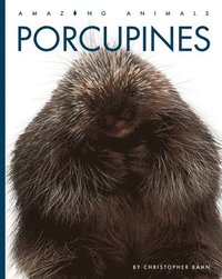 bokomslag Porcupines