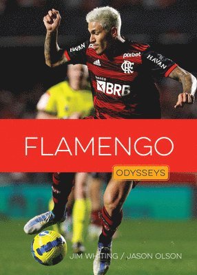 bokomslag Flamengo