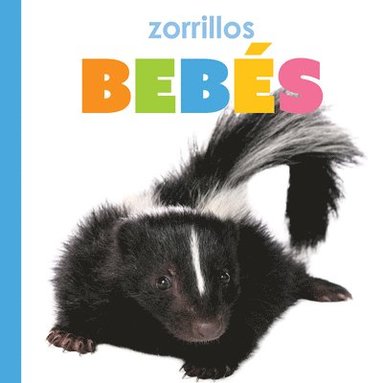 bokomslag Zorrillos Bebés