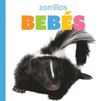 Zorrillos Bebés 1