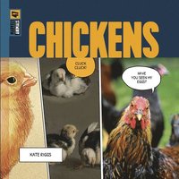 bokomslag Chickens
