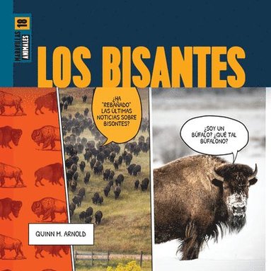 bokomslag Los Bisontes