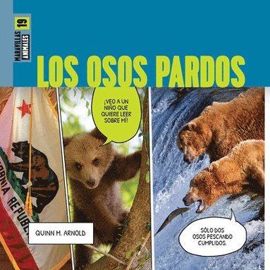 bokomslag Los Osos Pardos