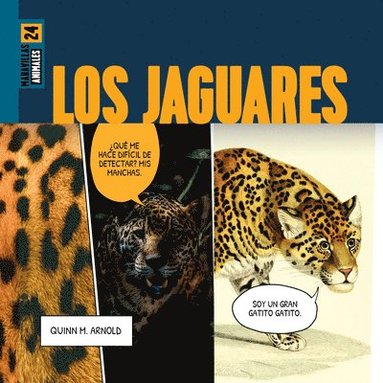 bokomslag Los Jaguares