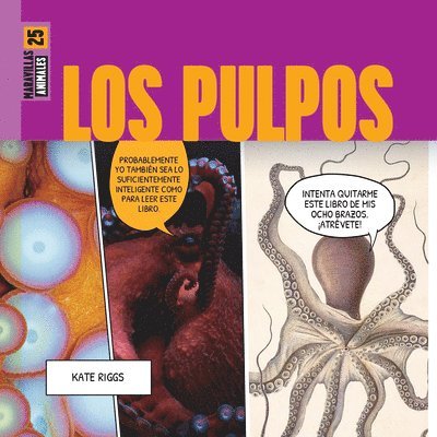 Los Pulpos 1