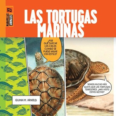 bokomslag Las Tortugas Marinas