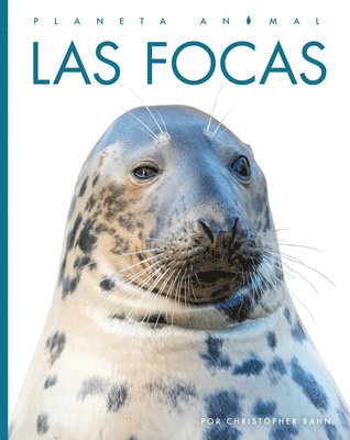 Las Focas 1