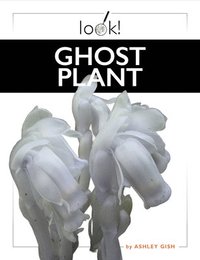 bokomslag Ghost Plant