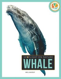 bokomslag Whale