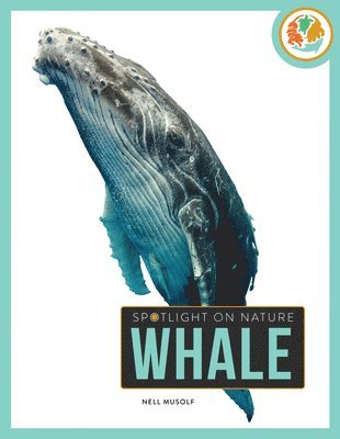 bokomslag Whale