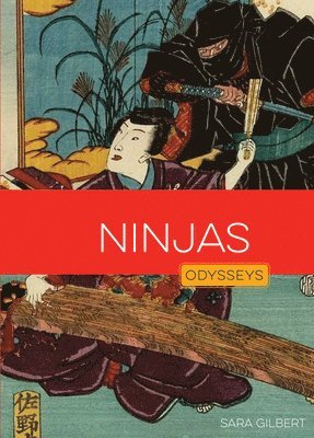 bokomslag Ninjas