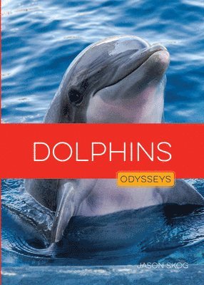Dolphins