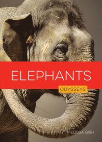 bokomslag Elephants