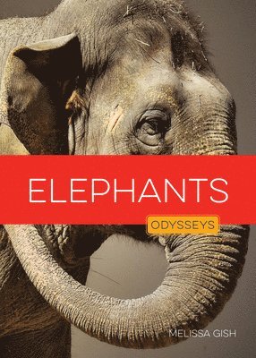bokomslag Elephants