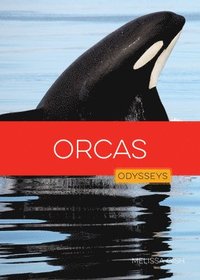 bokomslag Orcas