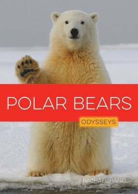 bokomslag Polar Bears