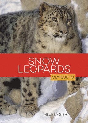 bokomslag Snow Leopards