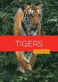 bokomslag Tigers