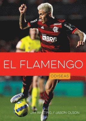 El Flamengo 1