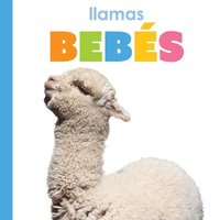 bokomslag Llamas Bebés: Spanish Edition