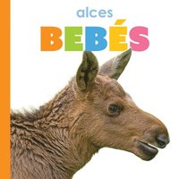 bokomslag Alces Bebés: Spanish Edition